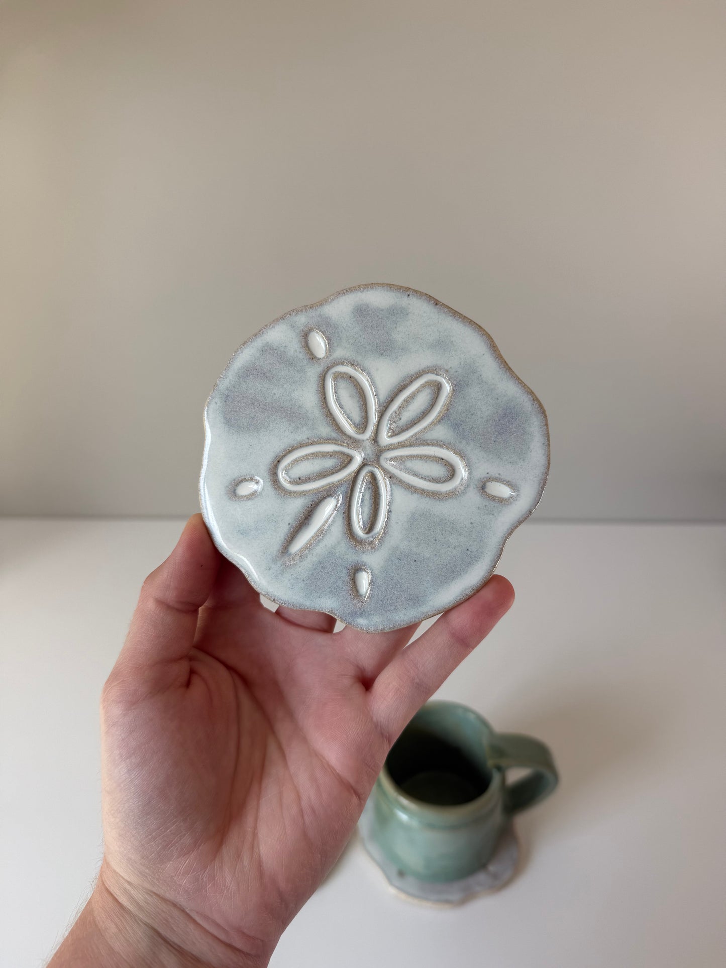 Sand Dollar Coasters โ Sand Cake