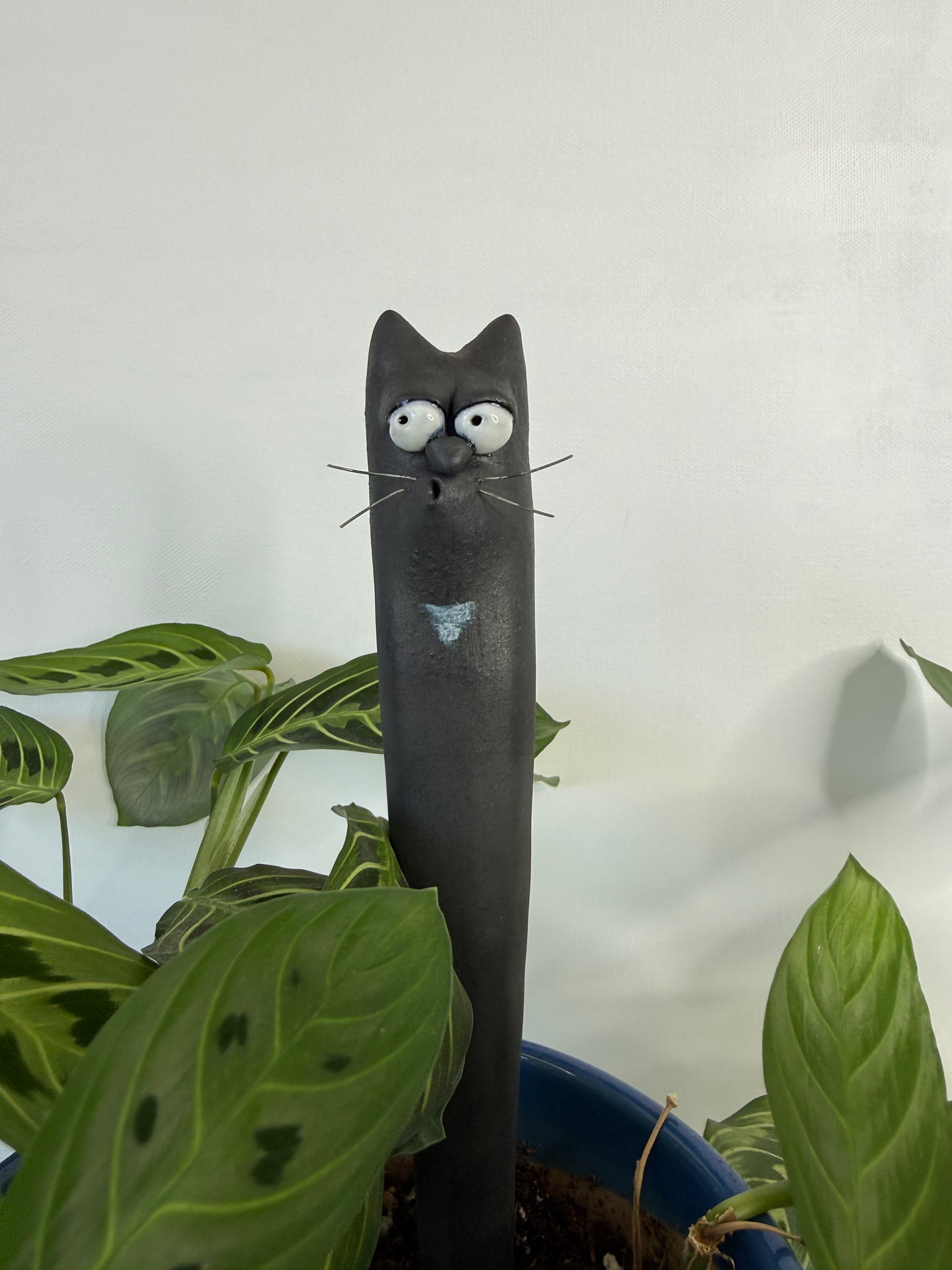 Garden Worm: Martin