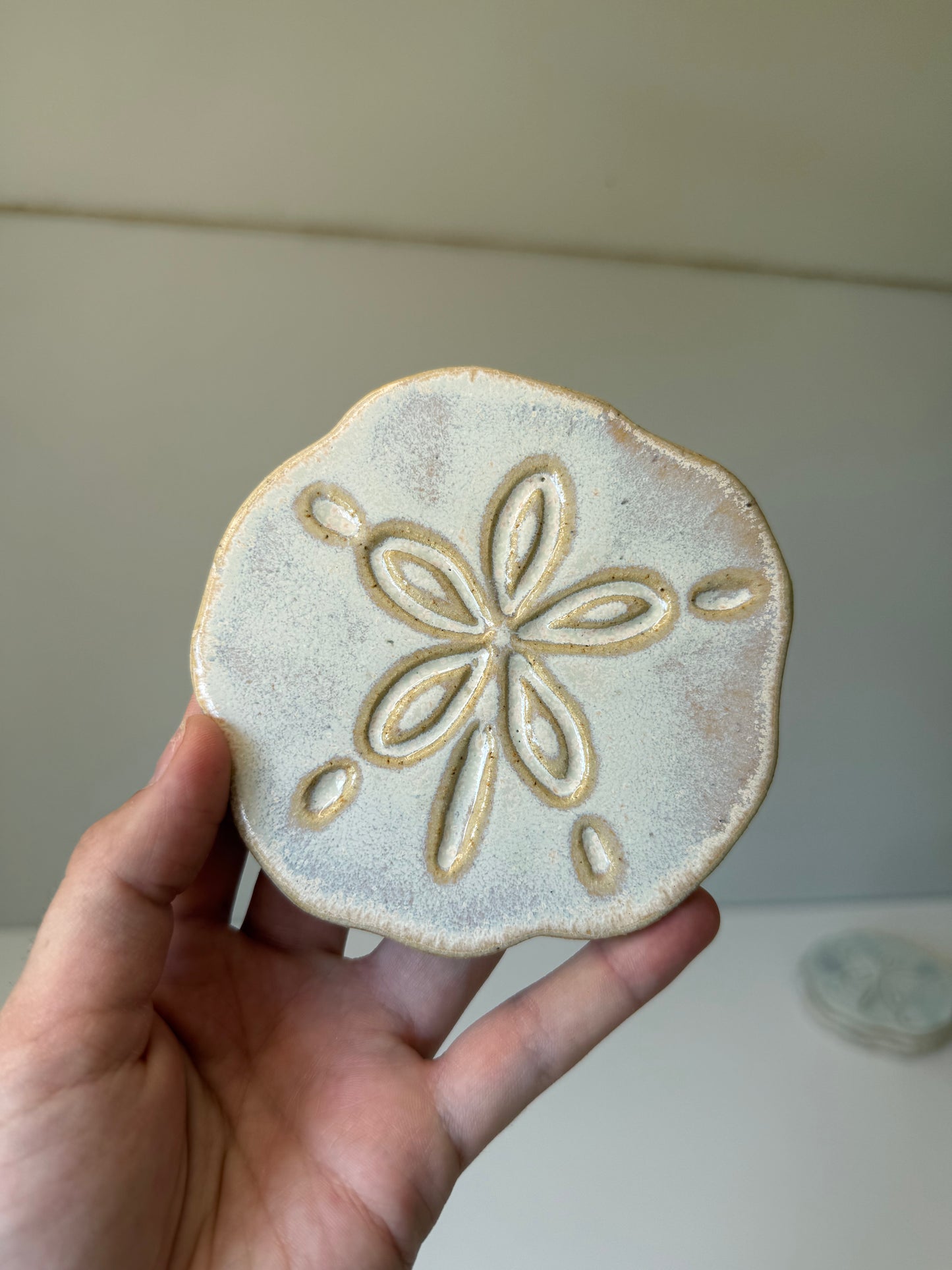 Sand Dollar Coasters โ Pansy Shell