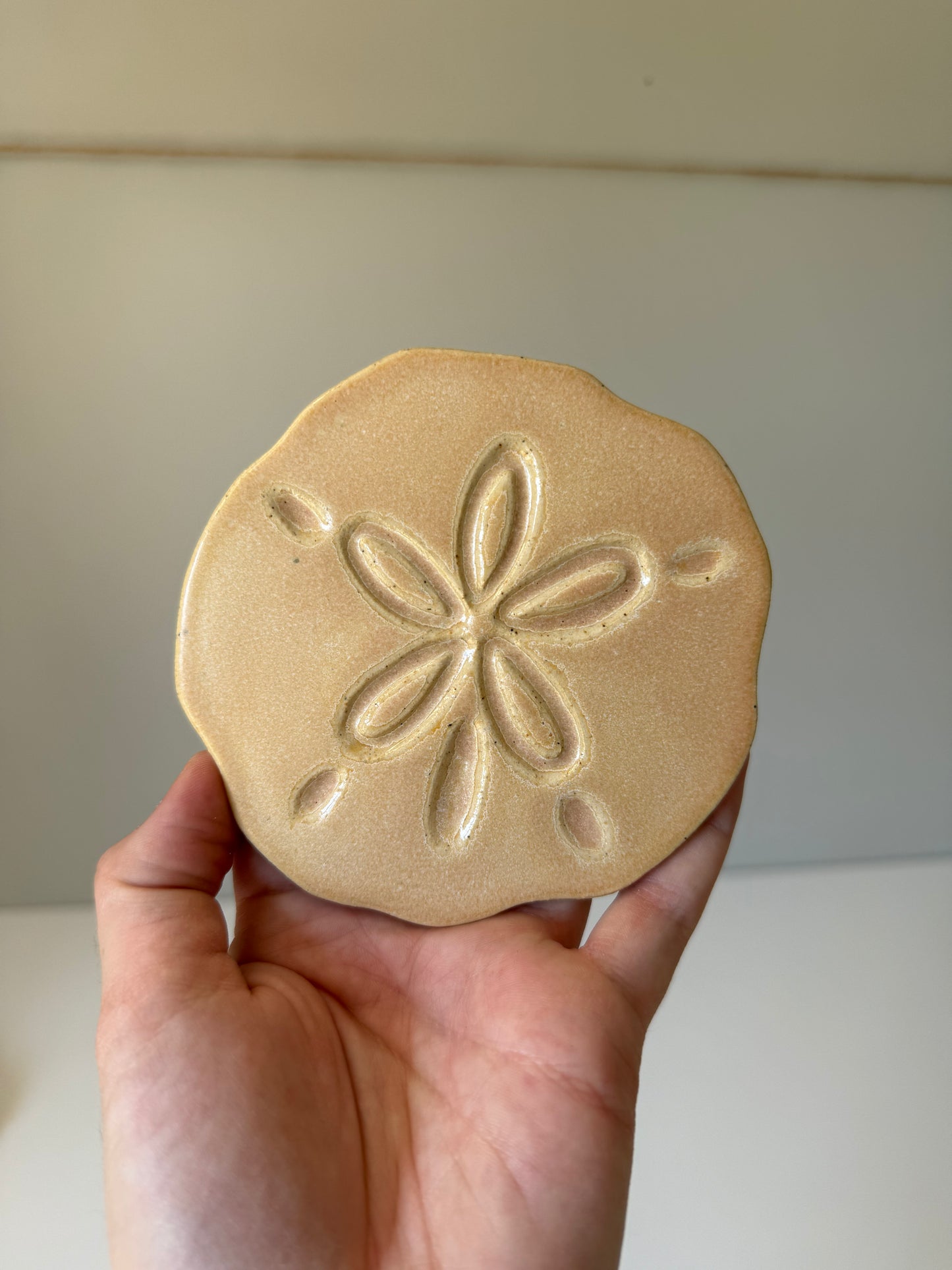 Sand Dollar Coasters โ Sand Biscuit