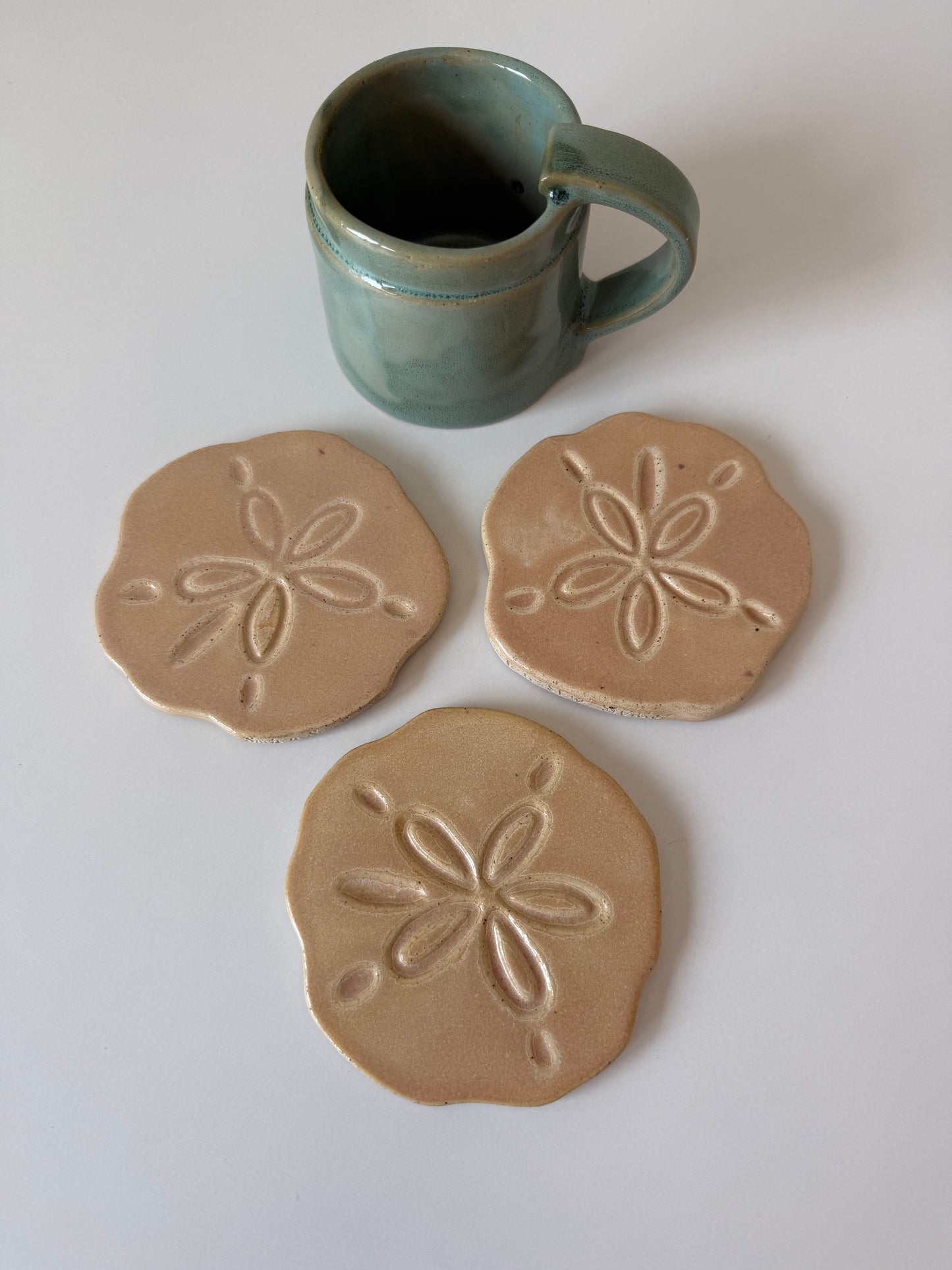 Sand Dollar Coasters — Sand Biscuit
