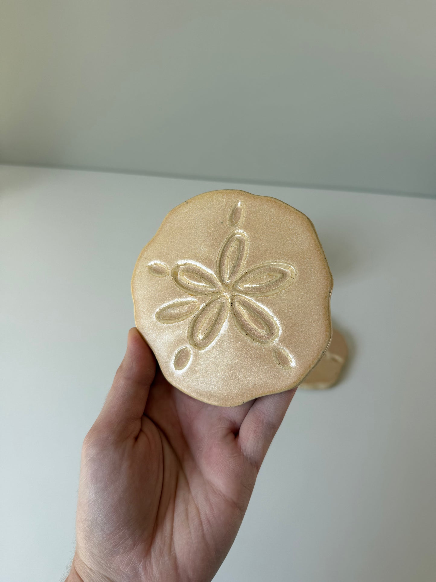 Sand Dollar Coasters — Sand Biscuit