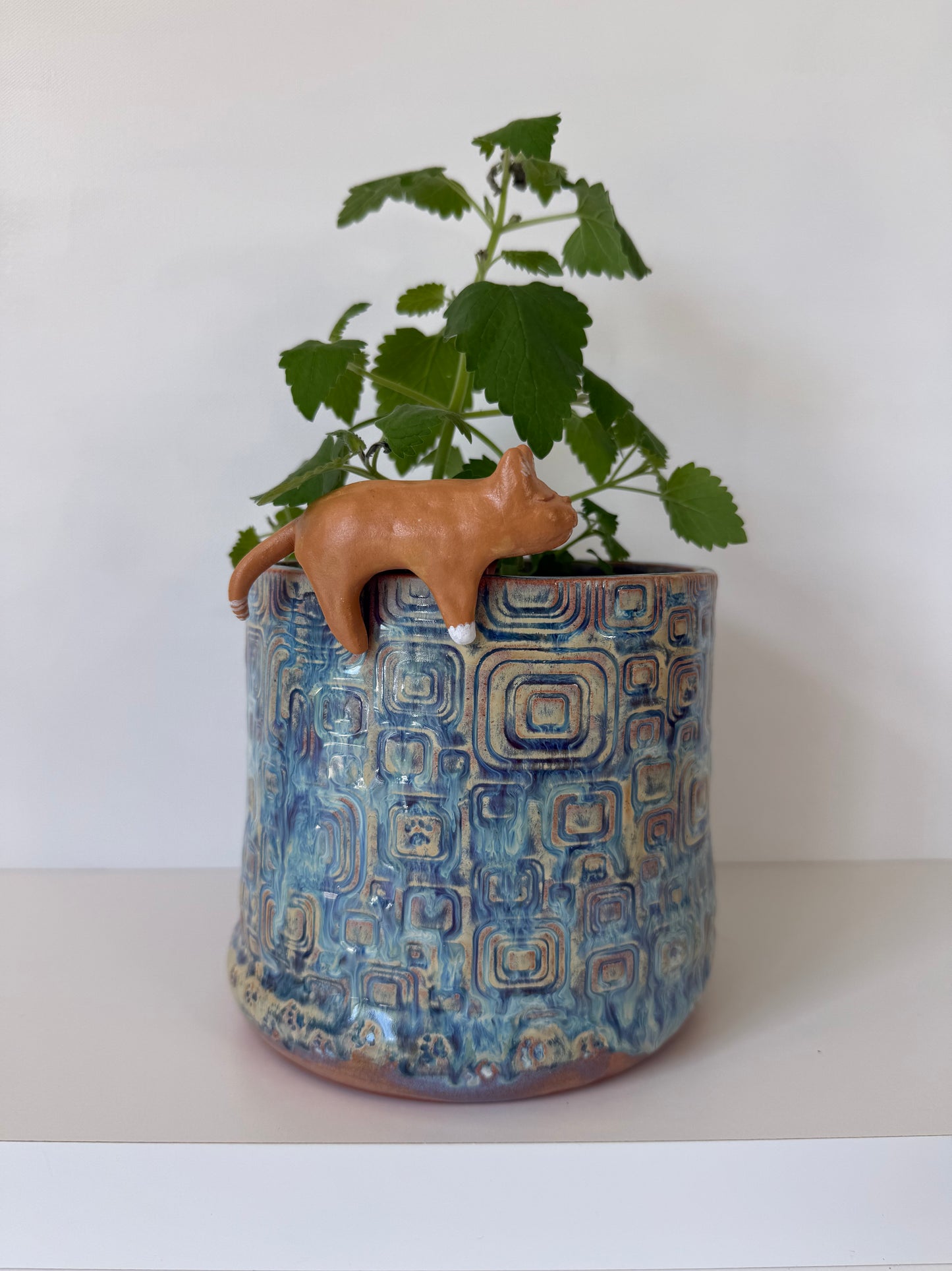 Freshly Baked Cat Loaf Catnip Planter
