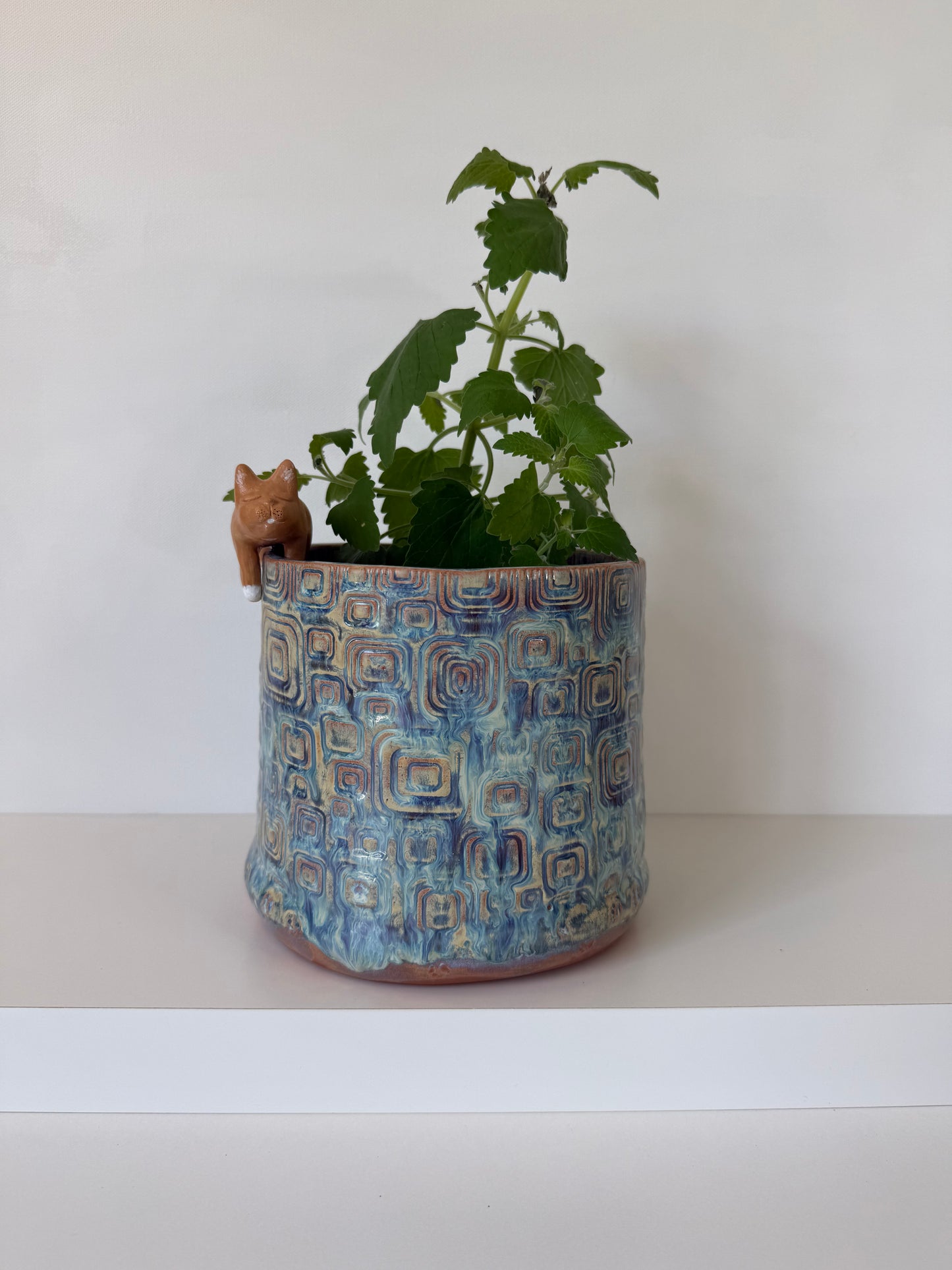 Freshly Baked Cat Loaf Catnip Planter
