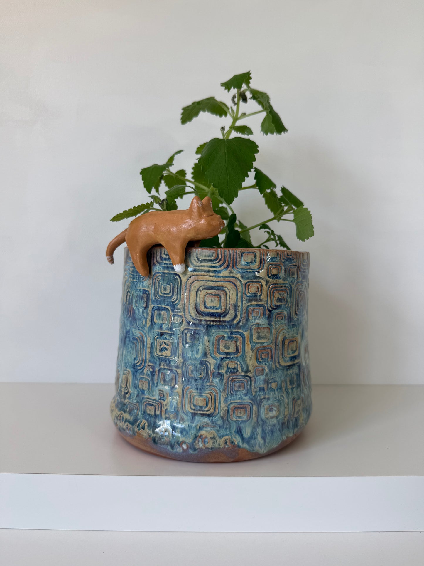 Freshly Baked Cat Loaf Catnip Planter