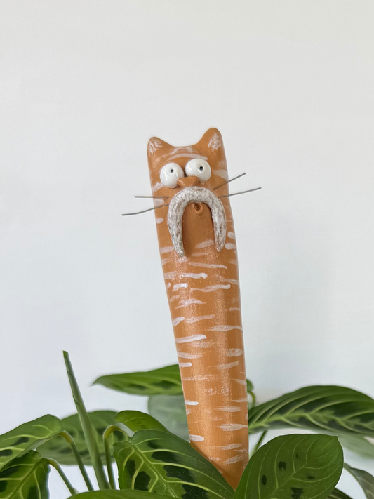 Garden Worm: Milo