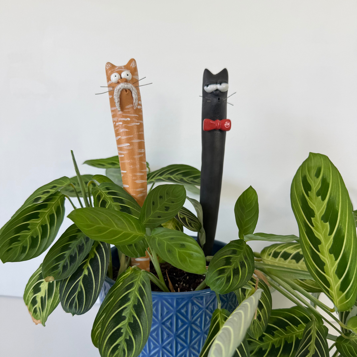 Garden Worm: Milo