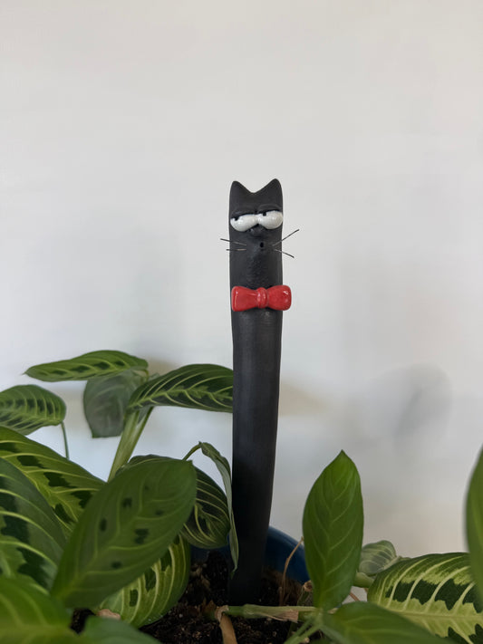 Garden Worm: Bartholomeow