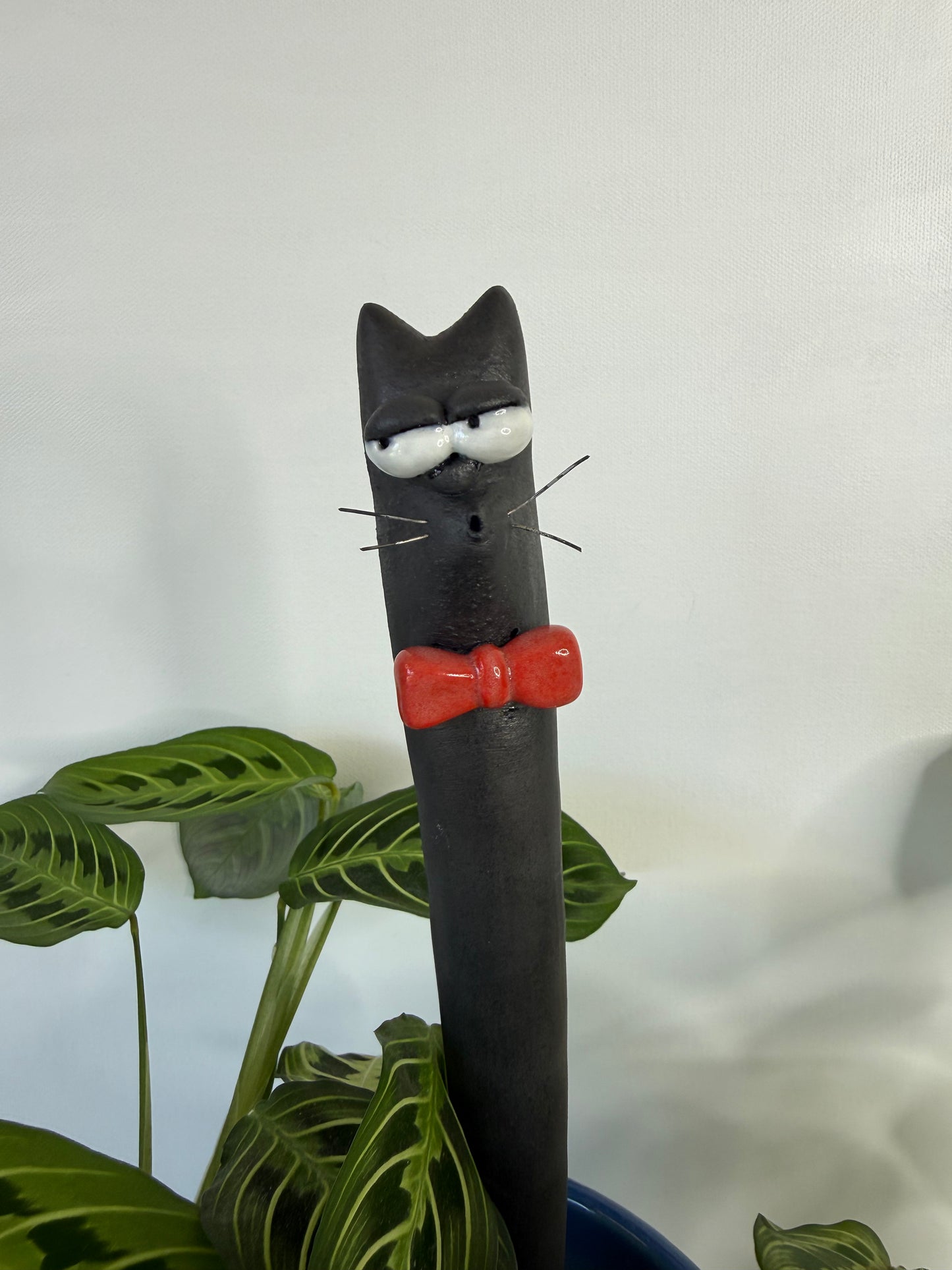 Garden Worm: Bartholomeow