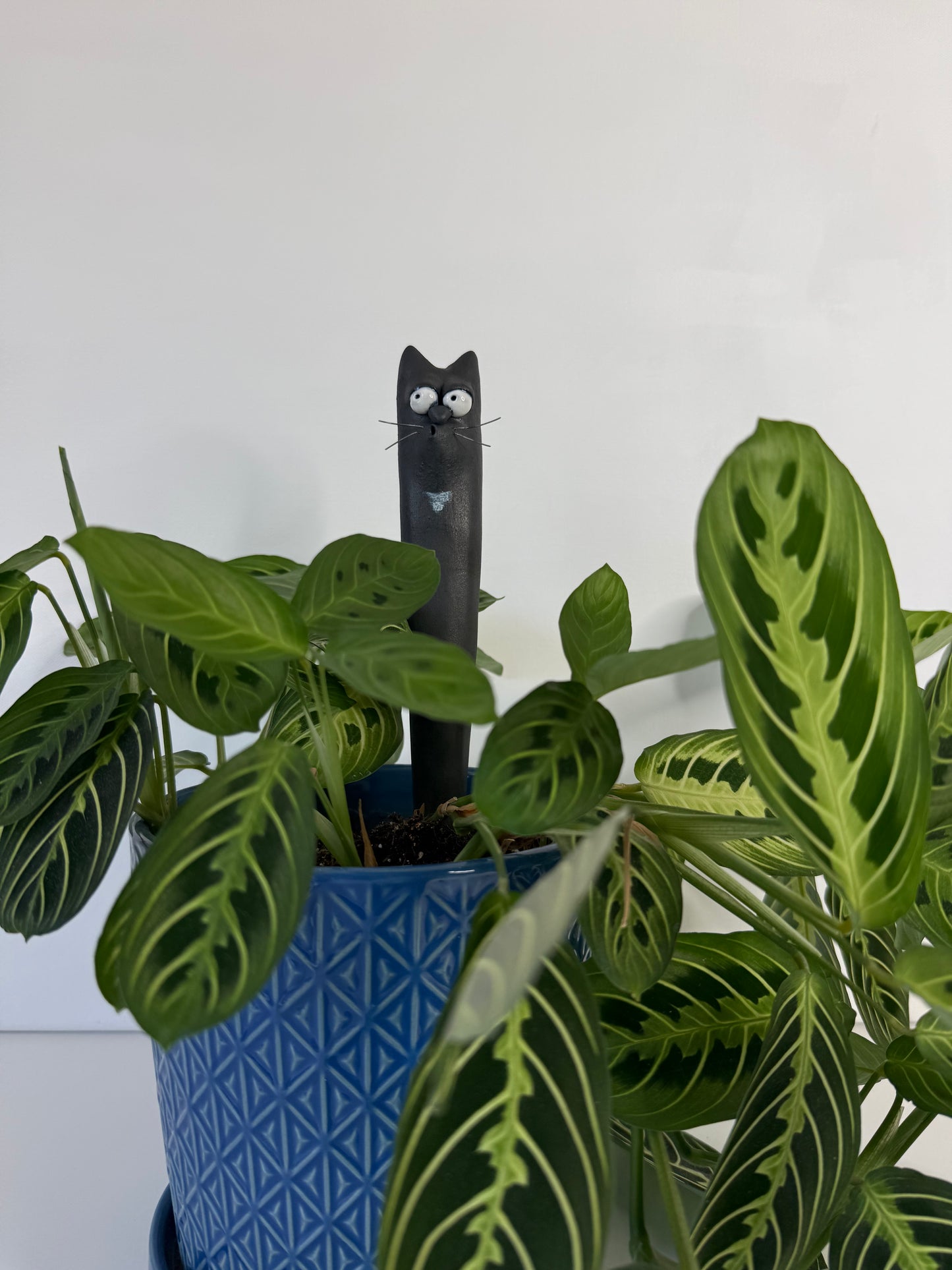 Garden Worm: Martin