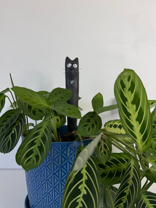 Garden Worm: Martin