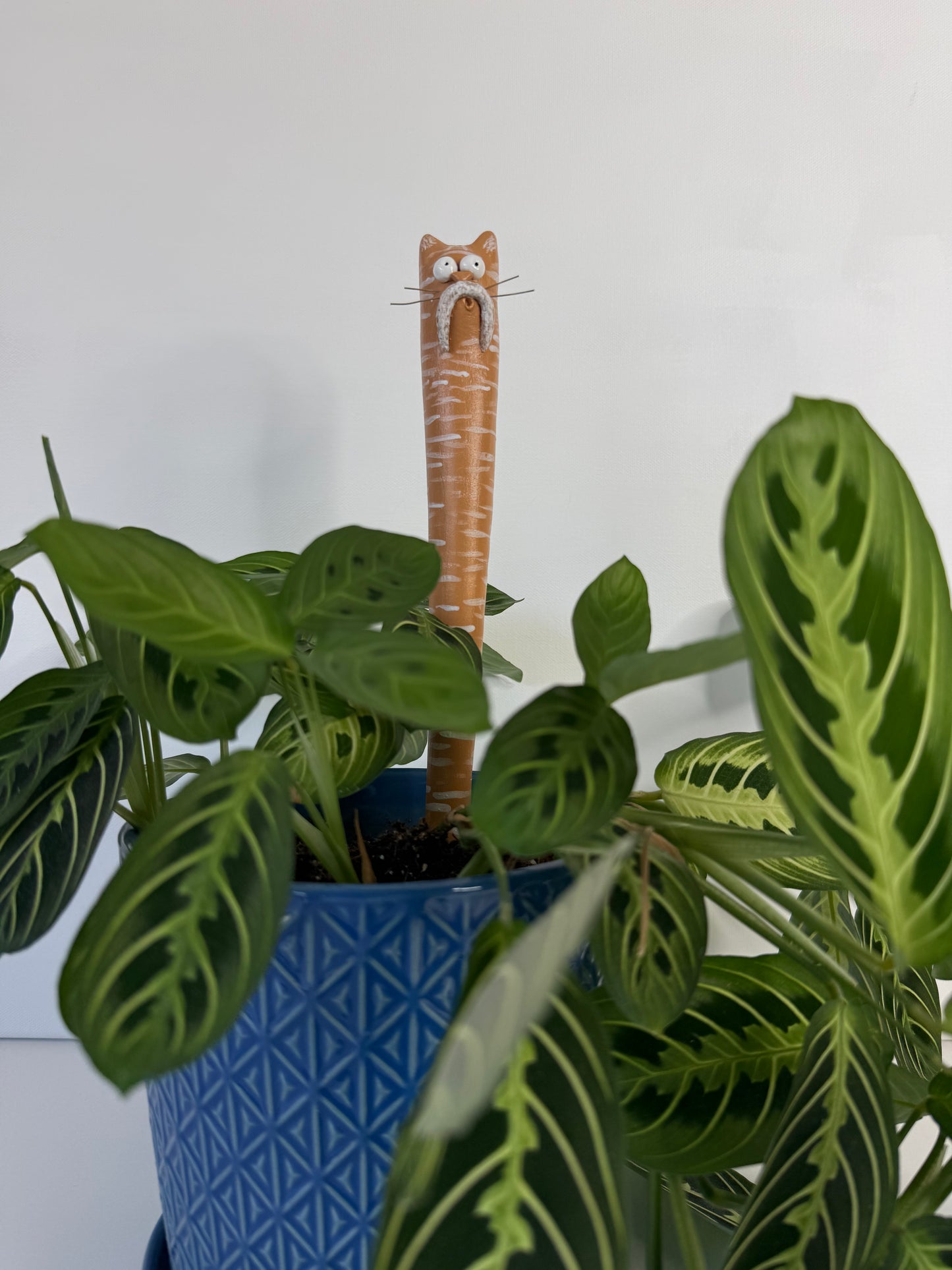 Garden Worm: Milo