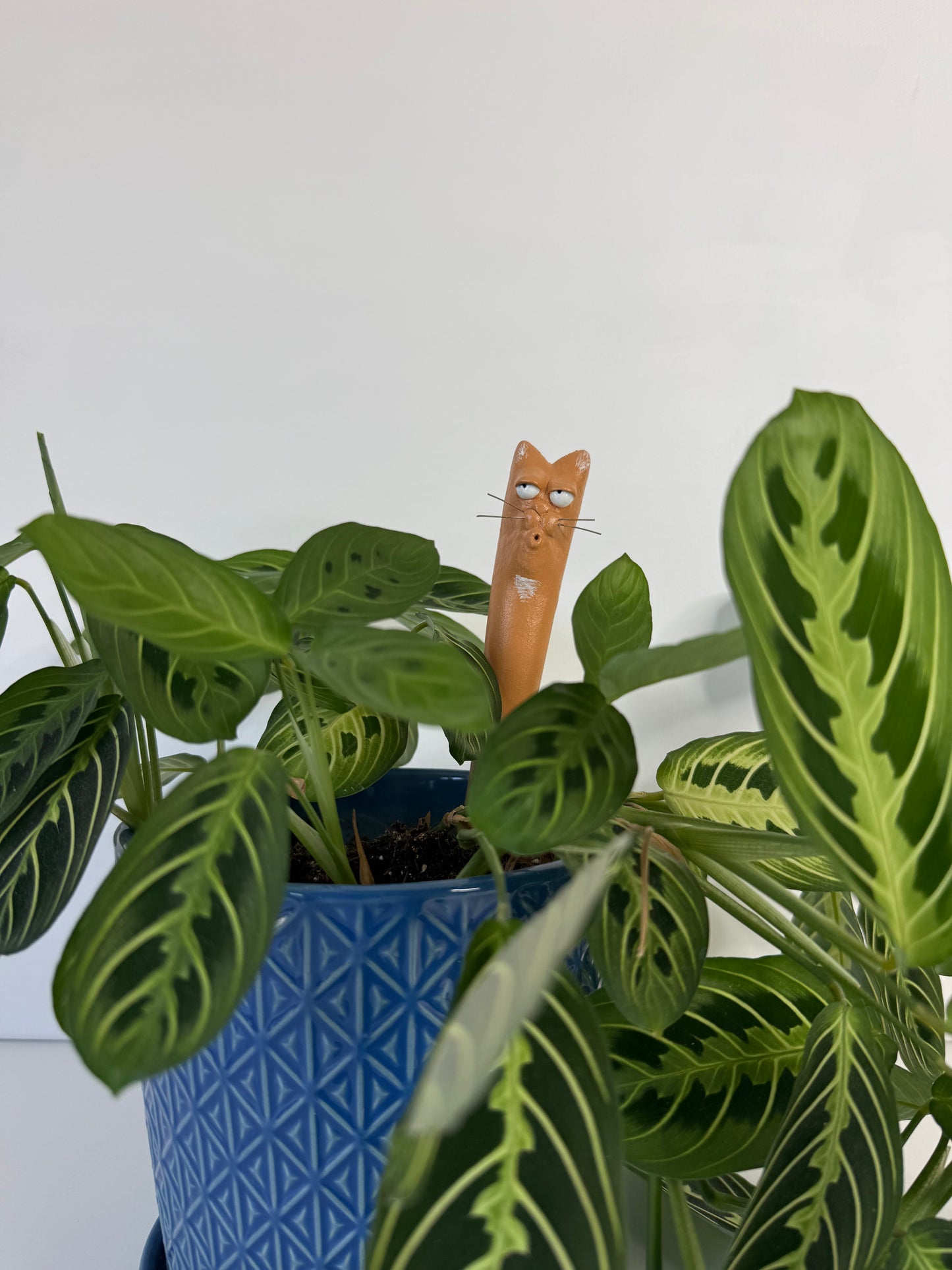 Garden Worm: Ben Stein