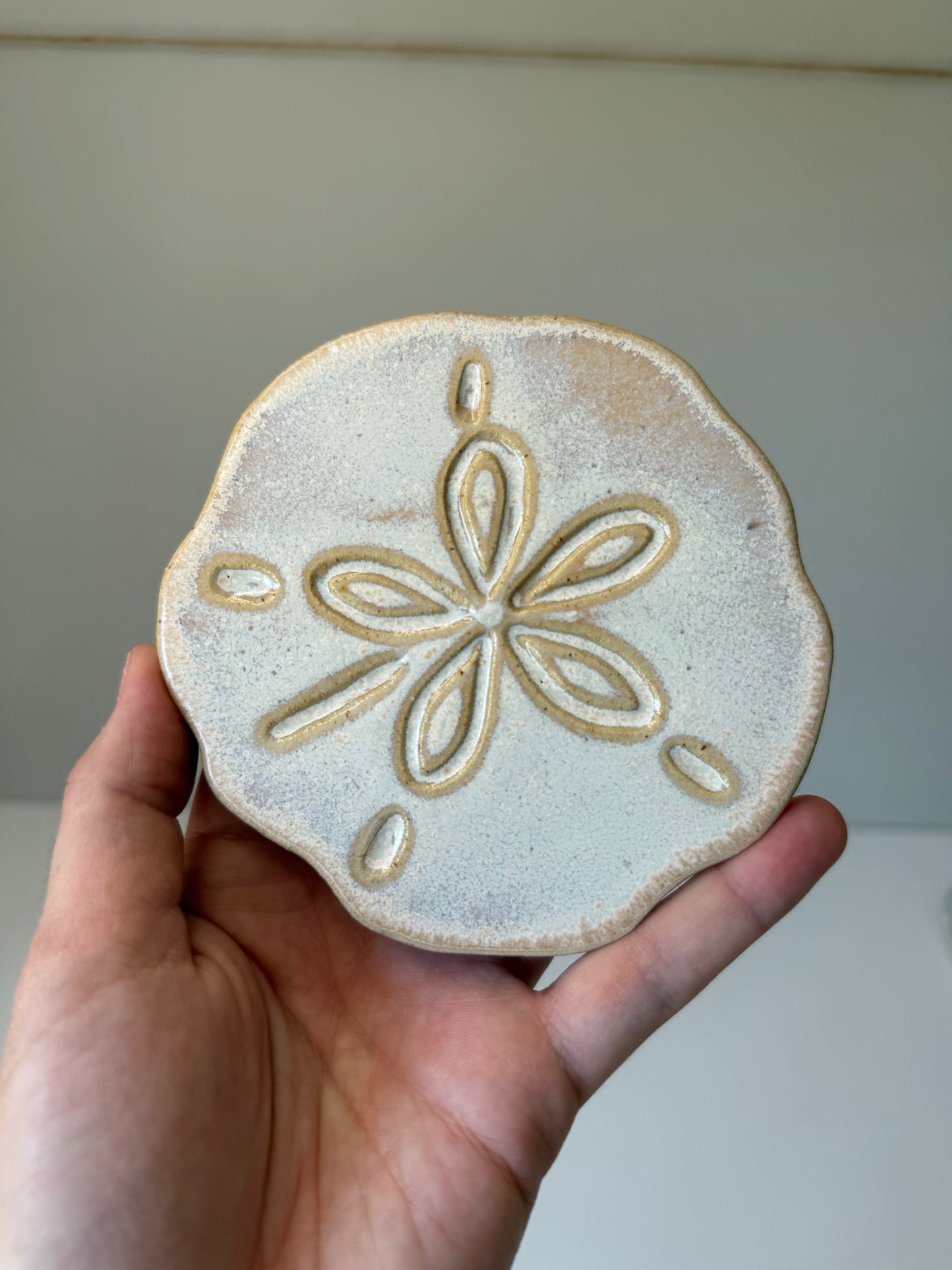 Sand Dollar Coasters — Pansy Shell