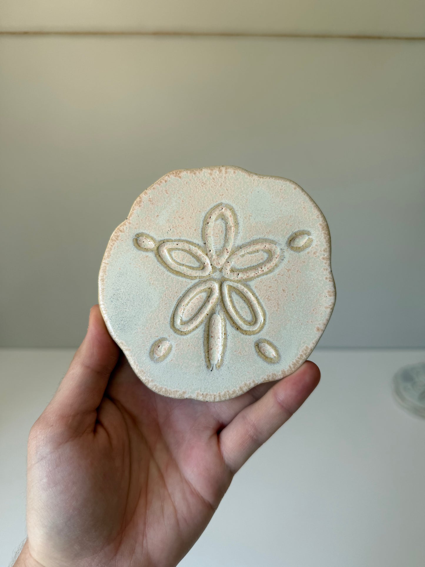 Sand Dollar Coasters — Pansy Shell