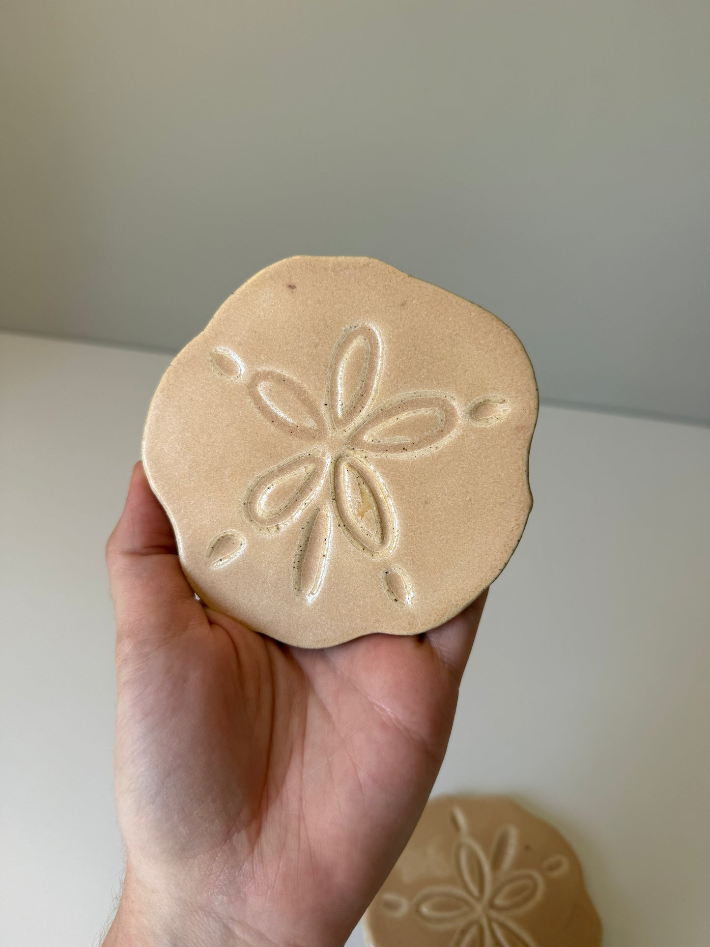Sand Dollar Coasters — Sand Biscuit