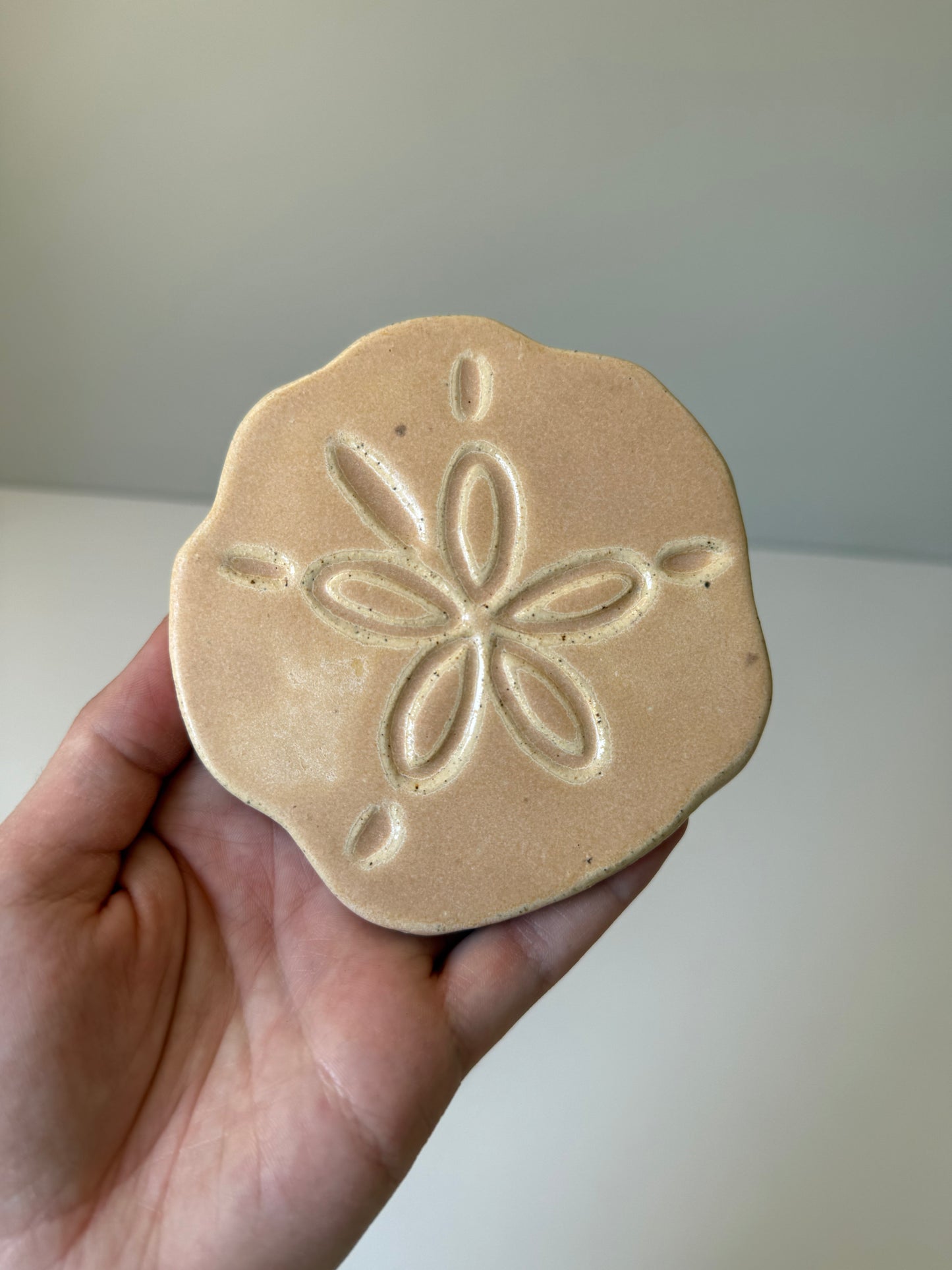 Sand Dollar Coasters — Sand Biscuit