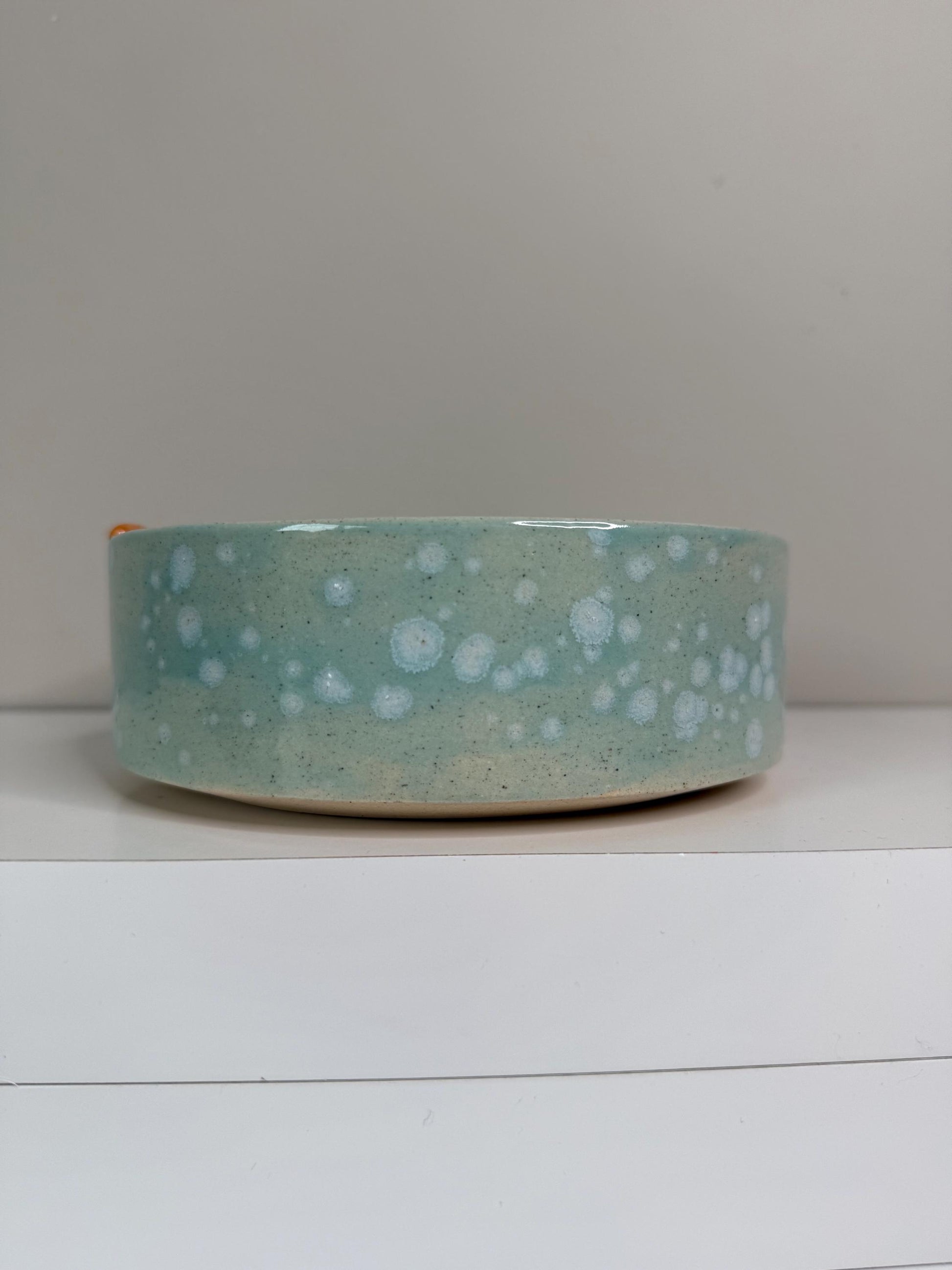 Handmade Ceramic Pet Bowl: Ocean Theme Dog/Cat Bowl with Sea Life