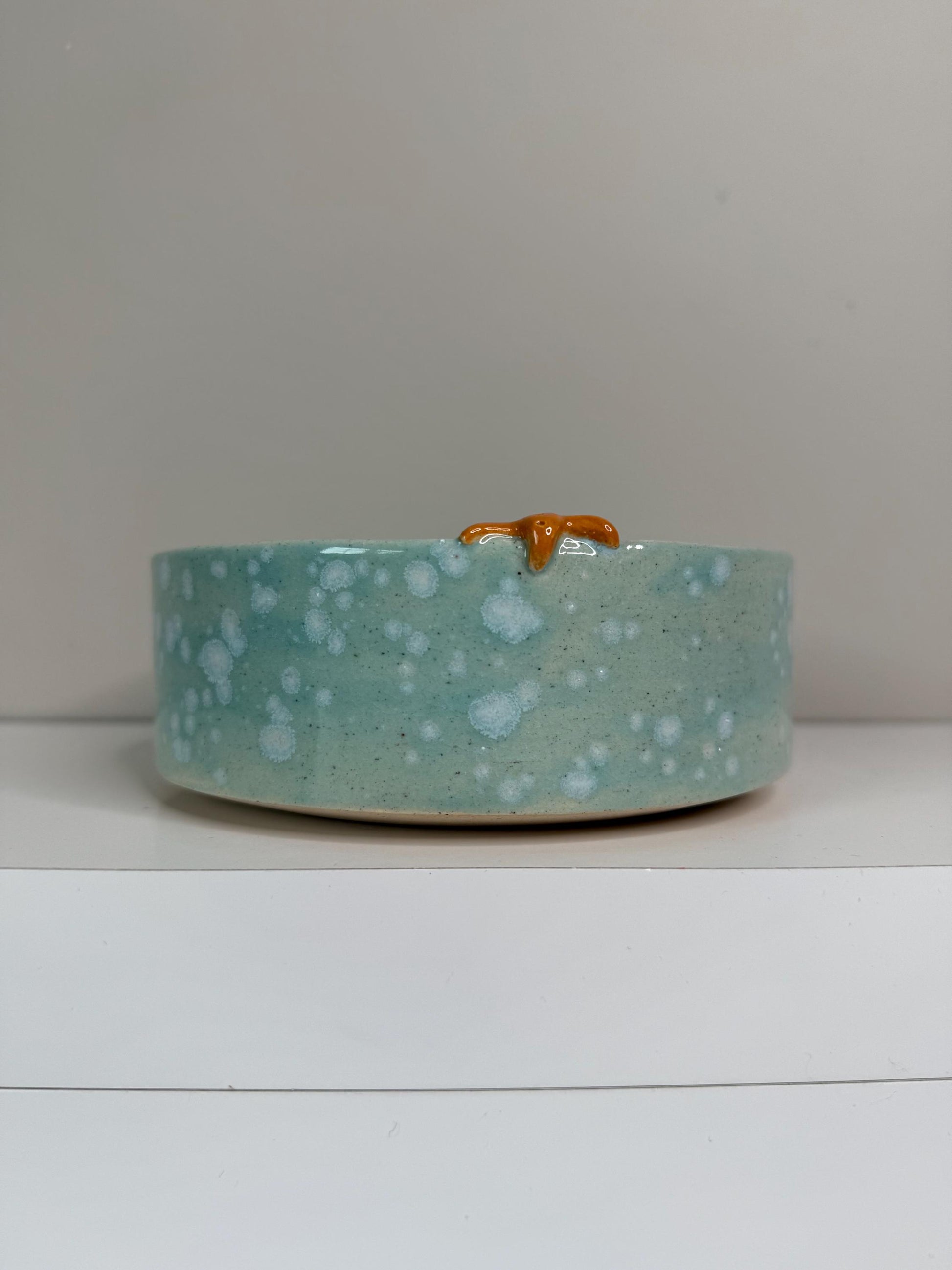 Handmade Ceramic Pet Bowl: Ocean Theme Dog/Cat Bowl with Sea Life