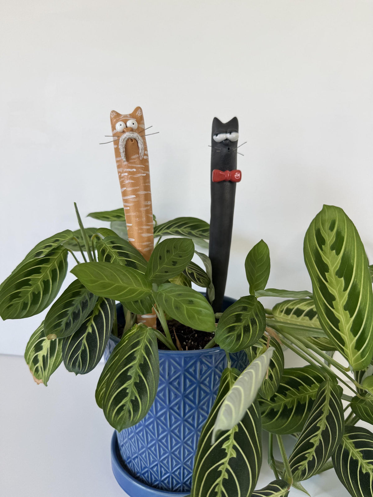 Garden Worm: Milo
