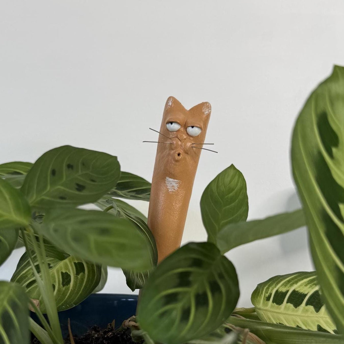 Garden Worm: Ben Stein