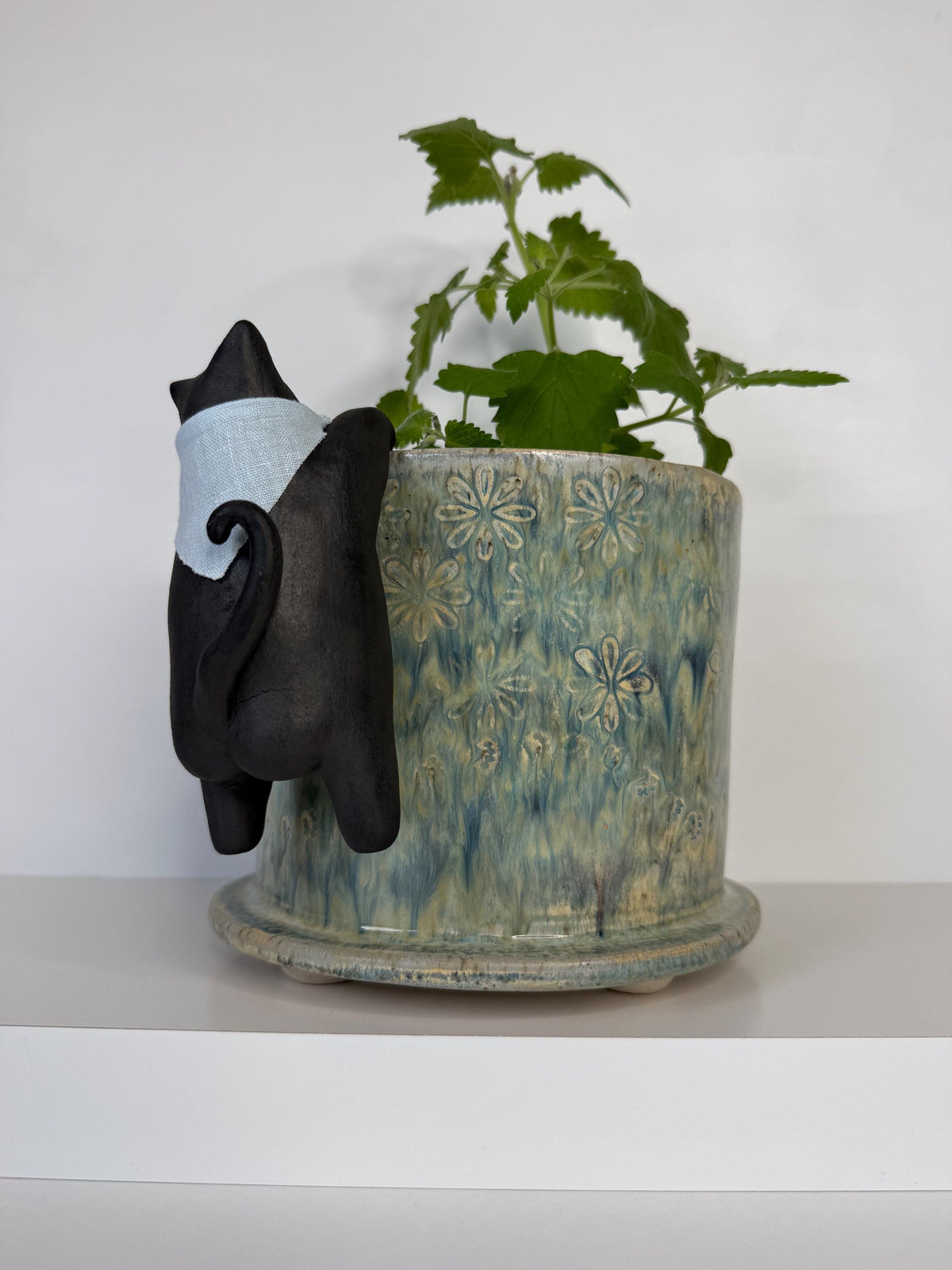 Curious Cat Peeking into a Planter