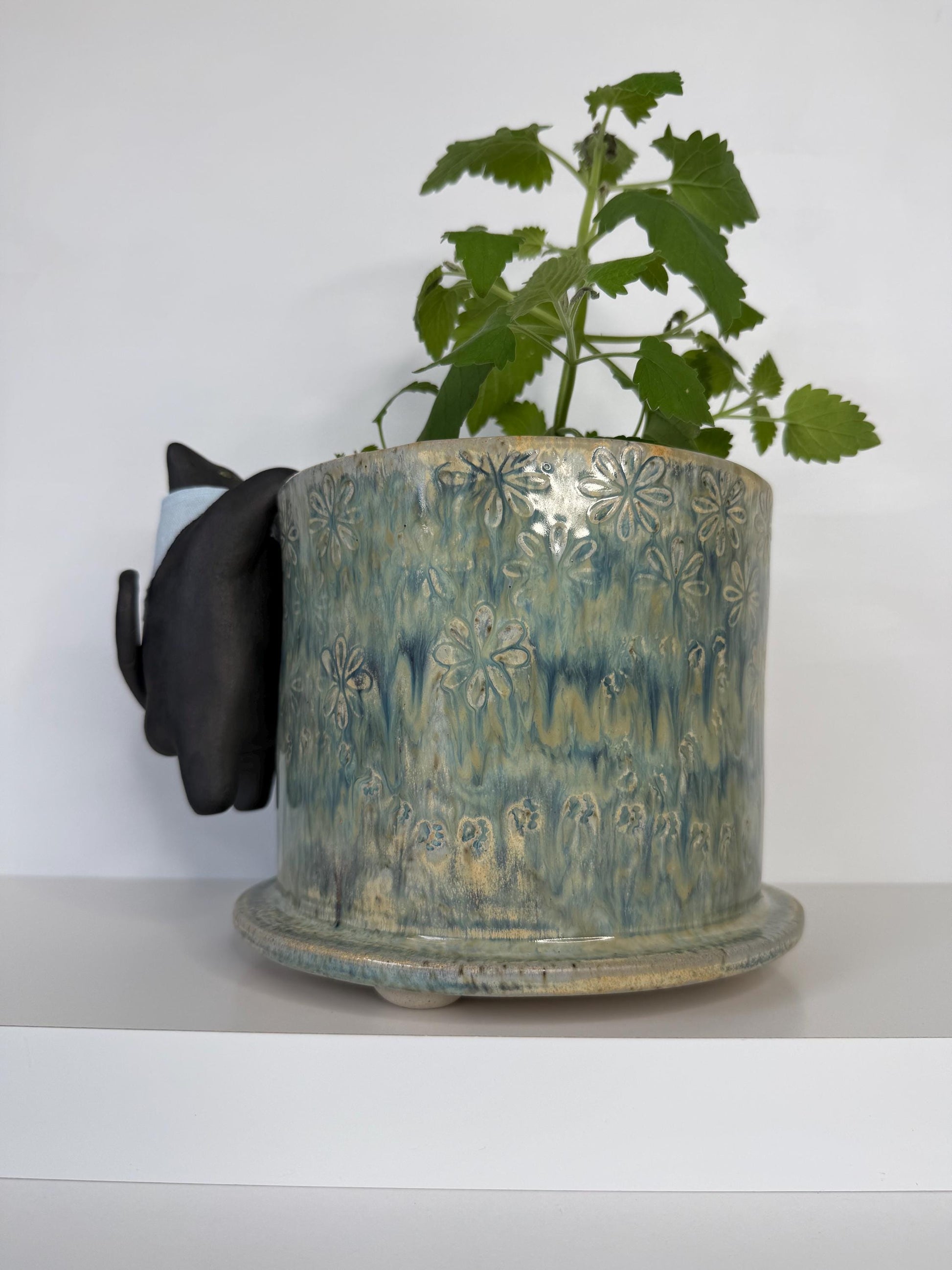 Curious Cat Peeking into a Planter