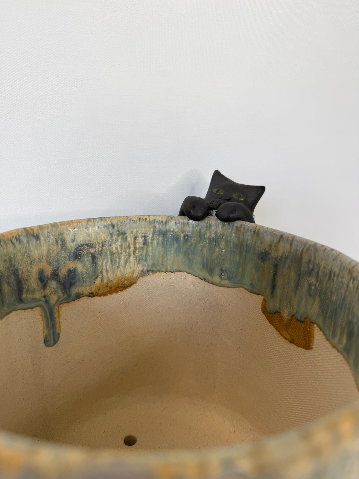 Curious Cat Peeking into a Planter