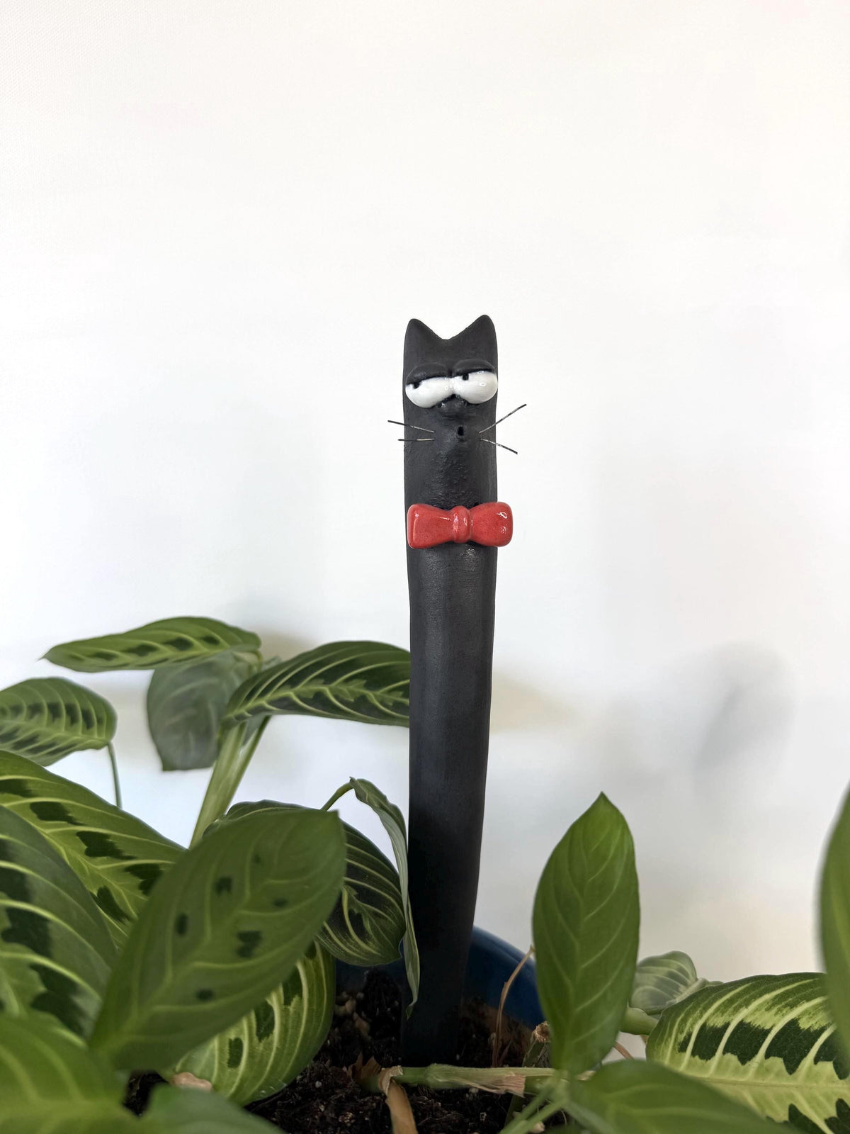 Garden Worm: Bartholomeow