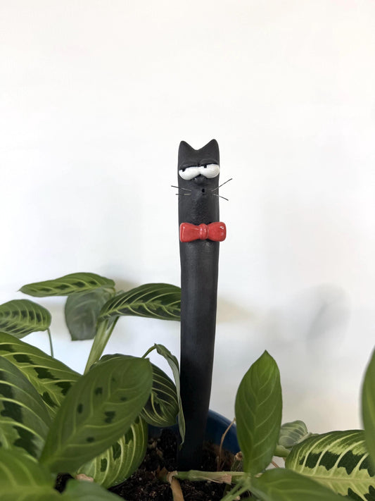 Garden Worm: Bartholomeow