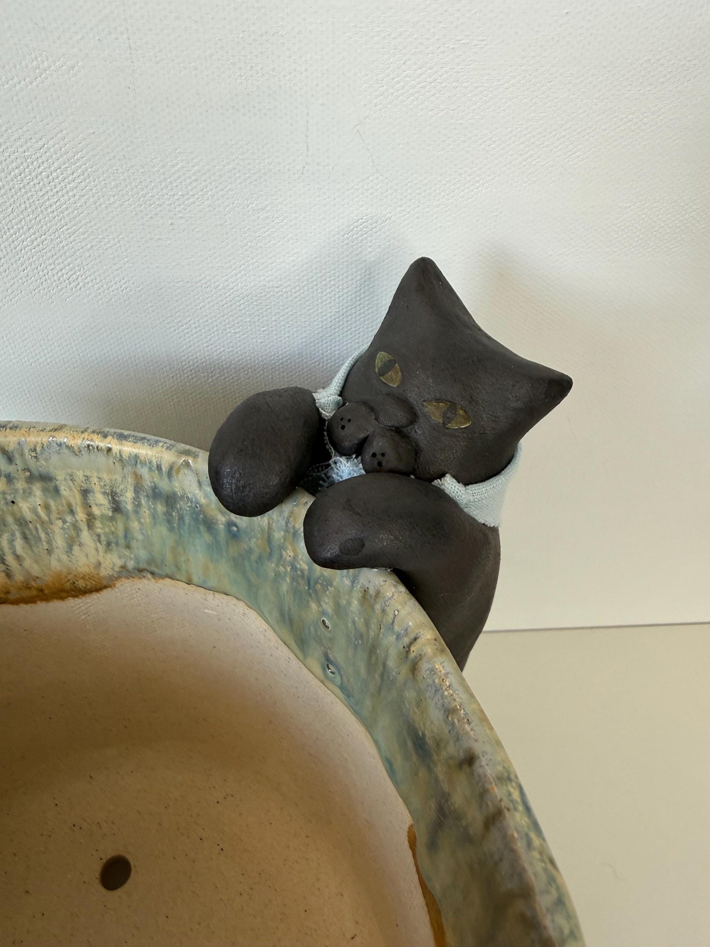Curious Cat Peeking into a Planter
