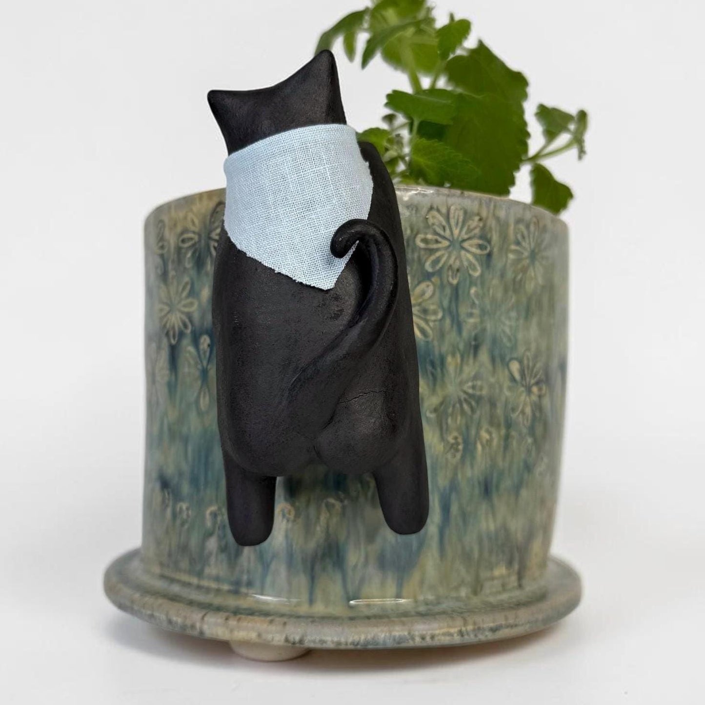 Curious Cat Peeking into a Planter