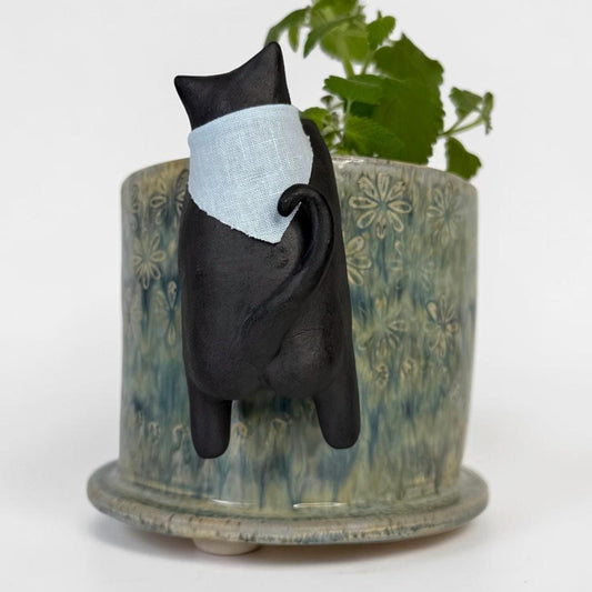 Curious Cat Peeking into a Planter